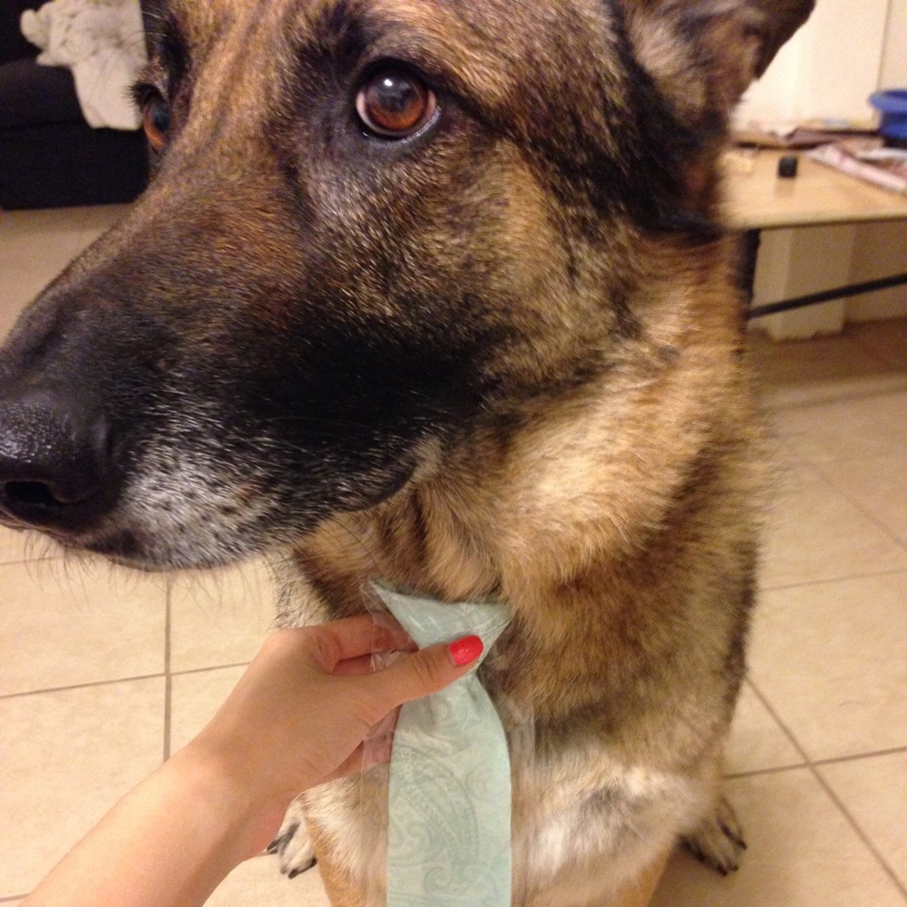 Meet your Posher, Sandra